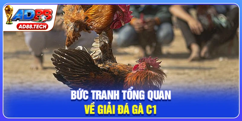 Đá Gà C1 – Trực Tiếp Lịch Thi Đấu Và Kết Quả Mới Nhất