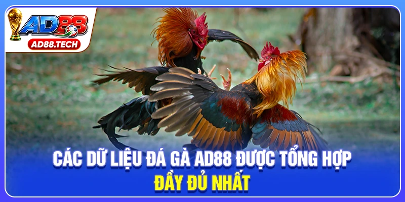 Đá Gà AD88: Livestream Sắc Nét, Kèo Cược Đa Dạng