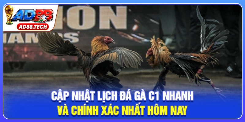 Đá Gà C1 – Trực Tiếp Lịch Thi Đấu Và Kết Quả Mới Nhất