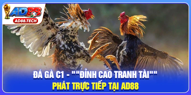 Đá Gà C1 – Trực Tiếp Lịch Thi Đấu Và Kết Quả Mới Nhất
