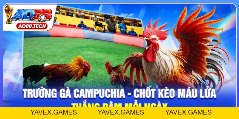 Tin Tức AD88 – Cập Nhật Sự Kiện Và Thông Tin Mới Nhất